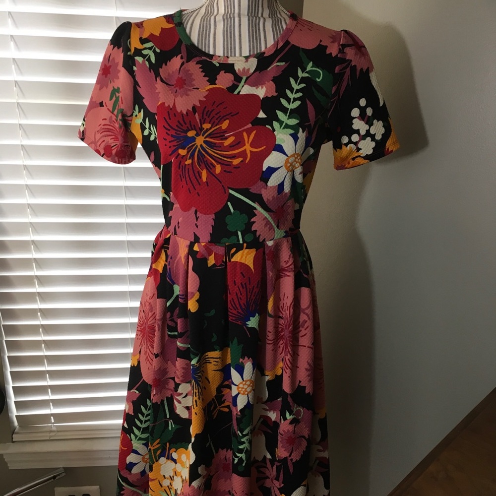 LuLaRoe Amelia dress with pockets